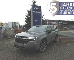 Subaru Forester Gebrauchtwagen