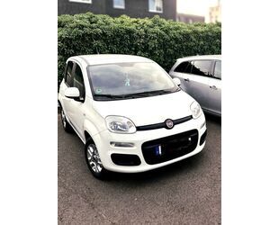 Fiat Panda Gebrauchtwagen
