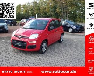 Fiat Panda Gebrauchtwagen