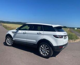 Land Rover Range Rover Evoque Gebrauchtwagen