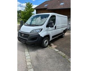 Fiat Ducato Gebrauchtwagen