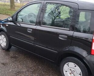 Fiat Panda Gebrauchtwagen