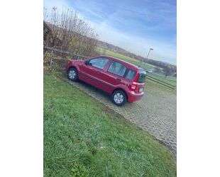 Fiat Panda Gebrauchtwagen