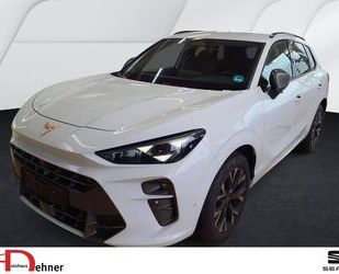 Cupra Terramar Gebrauchtwagen