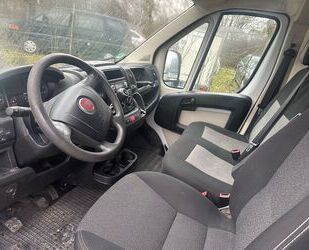 Fiat Ducato Gebrauchtwagen