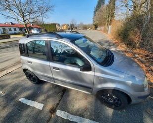 Fiat Panda Gebrauchtwagen