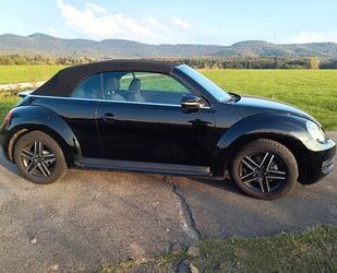 VW Beetle Gebrauchtwagen