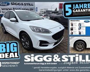 Ford Kuga Gebrauchtwagen