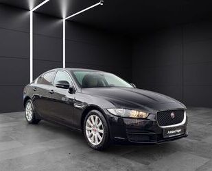 Jaguar XE Gebrauchtwagen