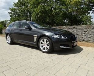 Jaguar XF Gebrauchtwagen