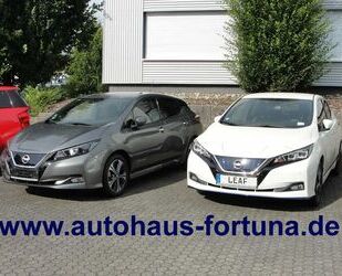 Nissan Leaf Gebrauchtwagen