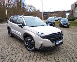 Subaru Forester Gebrauchtwagen