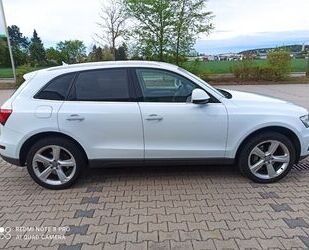 Audi Q5 Gebrauchtwagen