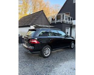 Mercedes-Benz ML 250 Gebrauchtwagen