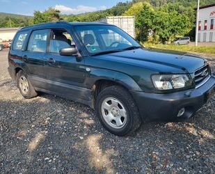 Subaru Forester Gebrauchtwagen