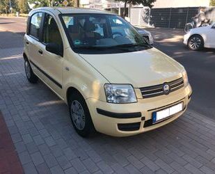 Fiat Panda Gebrauchtwagen