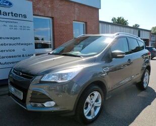 Ford Kuga Gebrauchtwagen