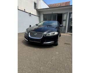 Jaguar XF Gebrauchtwagen