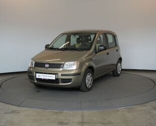 Fiat Panda Gebrauchtwagen