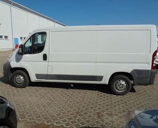 Fiat Ducato Gebrauchtwagen