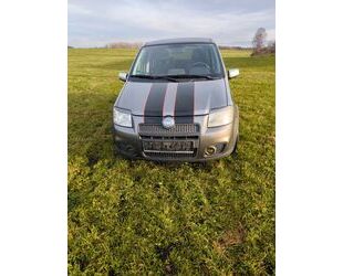 Fiat Panda Gebrauchtwagen