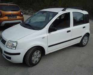 Fiat Panda Gebrauchtwagen