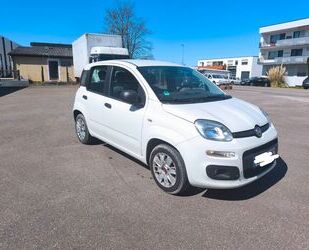Fiat Panda Gebrauchtwagen