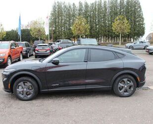 Ford Mustang Mach-E Gebrauchtwagen
