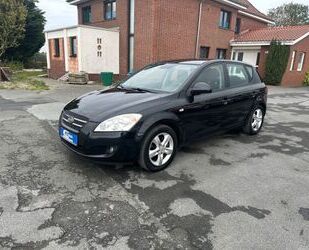 Kia ceed / Ceed Gebrauchtwagen