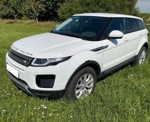 Land Rover Range Rover Evoque Gebrauchtwagen