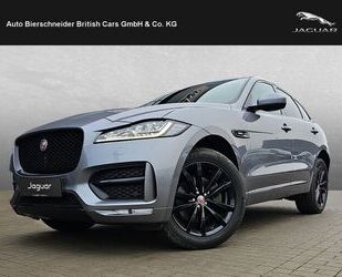 Jaguar F-Pace Gebrauchtwagen