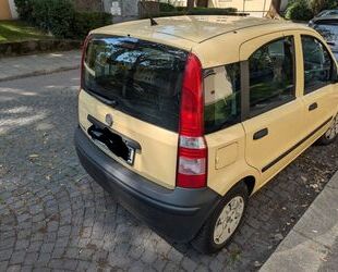 Fiat Panda Gebrauchtwagen