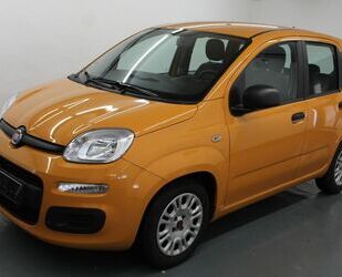 Fiat Panda Gebrauchtwagen