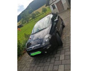 Fiat Punto Gebrauchtwagen