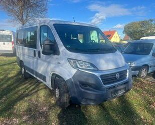 Fiat Ducato Gebrauchtwagen