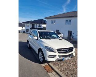 Mercedes-Benz ML 350 Gebrauchtwagen