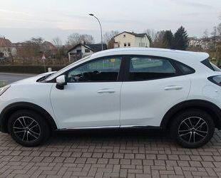 Ford Puma Gebrauchtwagen