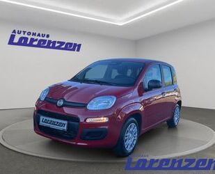 Fiat Panda Gebrauchtwagen