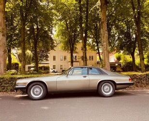 Jaguar XJS Gebrauchtwagen