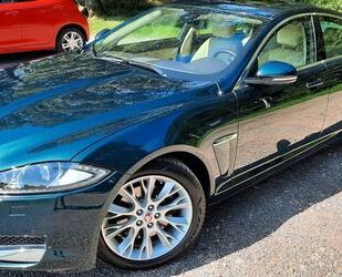 Jaguar XF Gebrauchtwagen