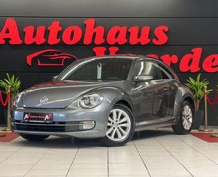 VW Beetle Gebrauchtwagen