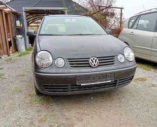 VW Polo Gebrauchtwagen