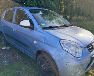 Kia Picanto Gebrauchtwagen