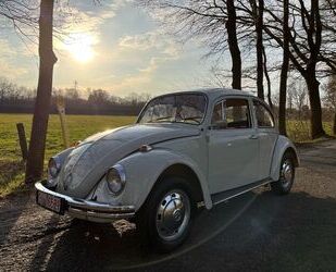 VW Käfer Gebrauchtwagen