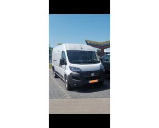 Fiat Ducato Gebrauchtwagen