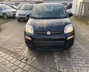 Fiat Panda Gebrauchtwagen