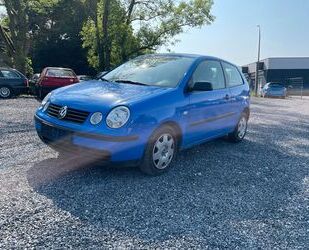 VW Polo Gebrauchtwagen