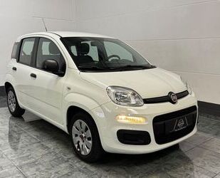 Fiat Panda Gebrauchtwagen