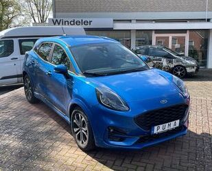 Ford Puma Gebrauchtwagen
