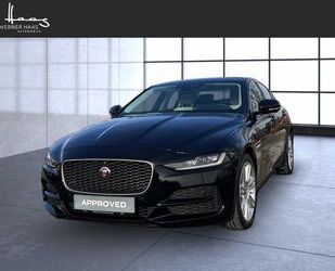 Jaguar XE Gebrauchtwagen